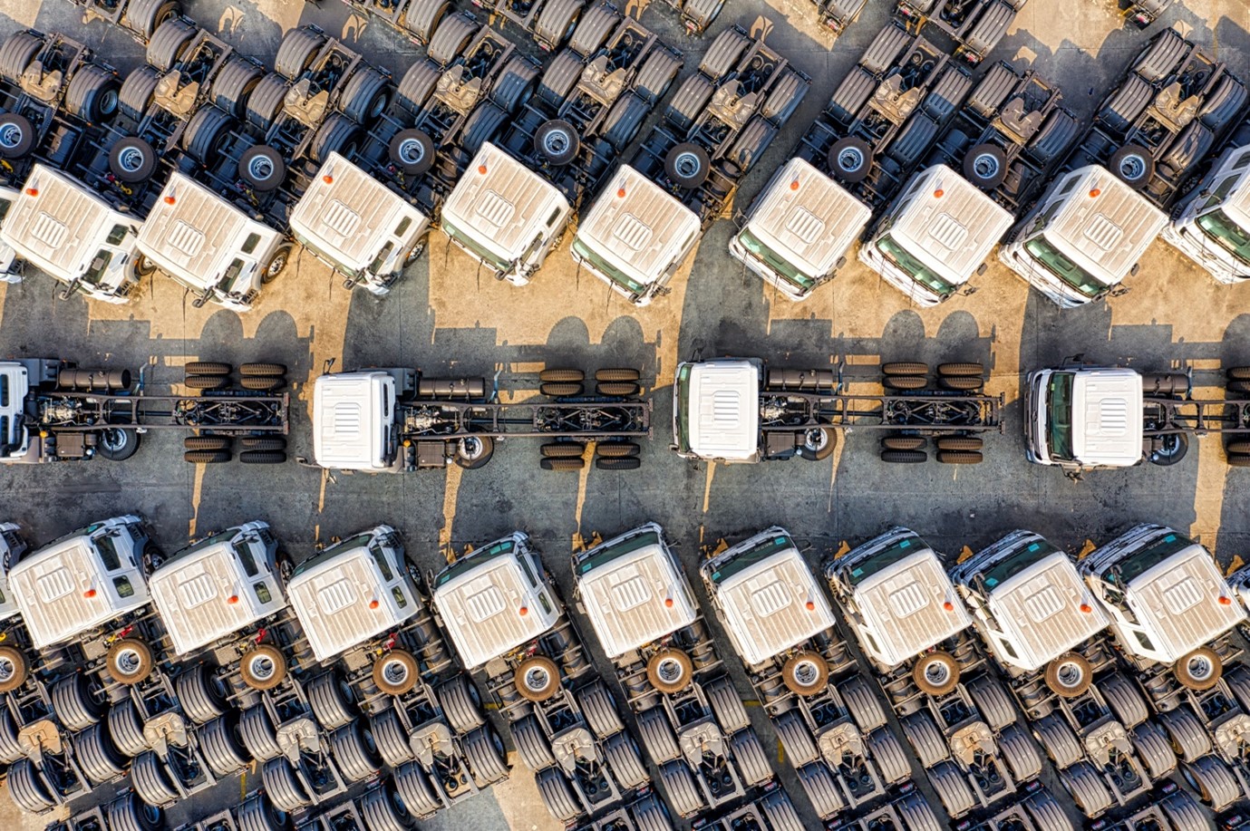 Fleet of flat nose trucks in rows